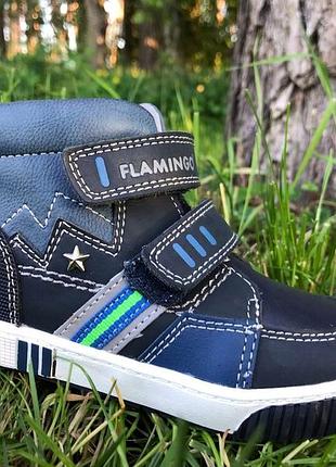 Демісезонні черевики хлопчику