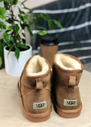 Трендовые угги ugg classic mini || boot beige2 фото