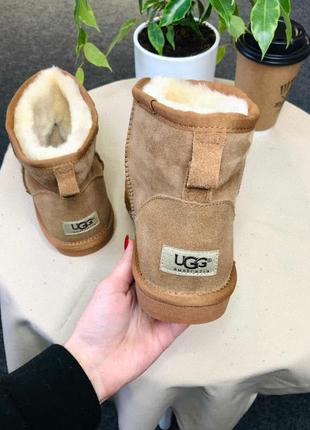 Трендовые угги ugg classic mini || boot beige4 фото