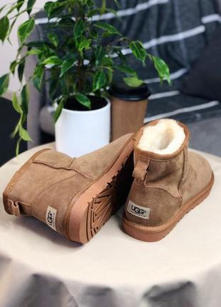 Трендовые угги ugg classic mini || boot beige6 фото