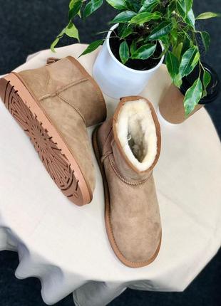 Трендовые угги ugg classic mini || boot beige7 фото