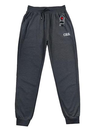 Штани спортивні чоловічі під манжет весна-осінь 2xl/50-52