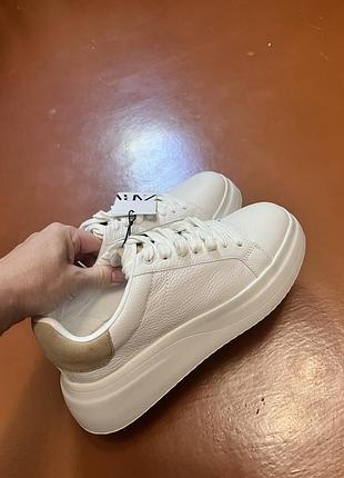 Нові шкіряні кеди zara