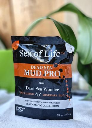 Минеральная грязь мертвого моря (300 г)
sea of life