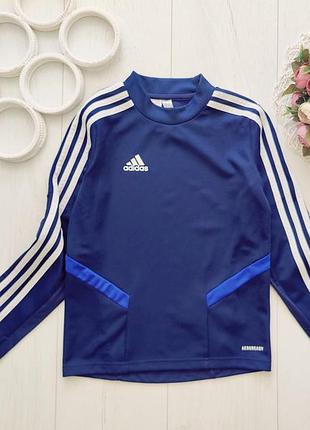 Спортивна кофта  артикул: 24392  бренд: adidas (адидас)