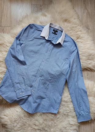 💚💙💜 базова голуба сорочка з білим коміром