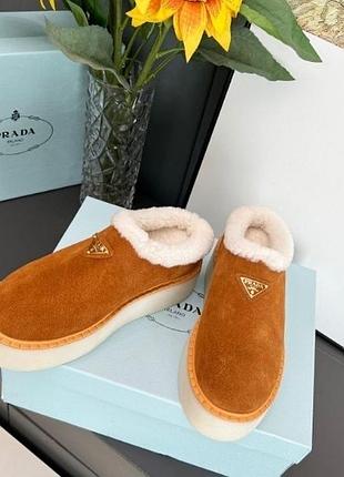 Уггі жіночі