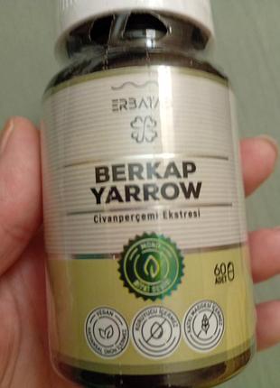 Экстракт тысячилетника