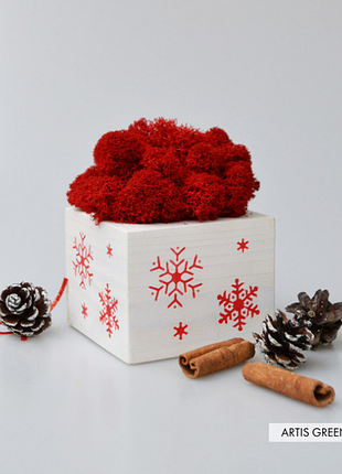 Кашпо новогоднее со снежинками и мхом