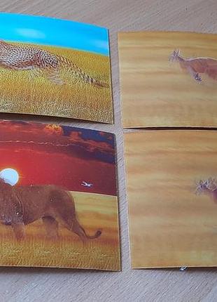 Открытки 3д меняется изображение. внимательно читайте условия пересылки!!!