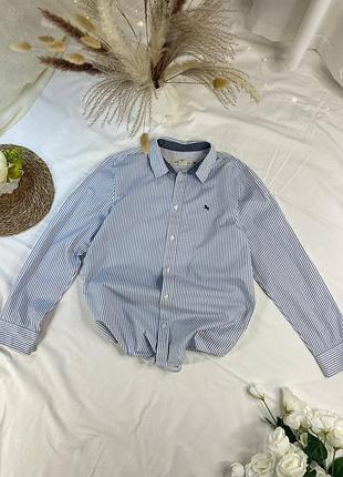 Женская хлопковая базовая рубашка рубашка в полоску в голубом цвете 100% хлопок, коттон