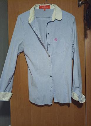 Супер модна рубашка у смужку