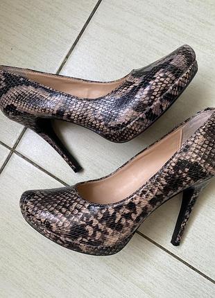 Туфли под рептилию