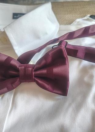 Бабочка мужская