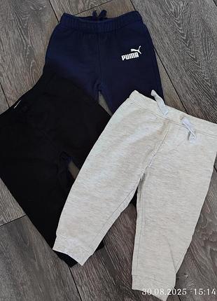 Жилетка, штани, кофта, бодики