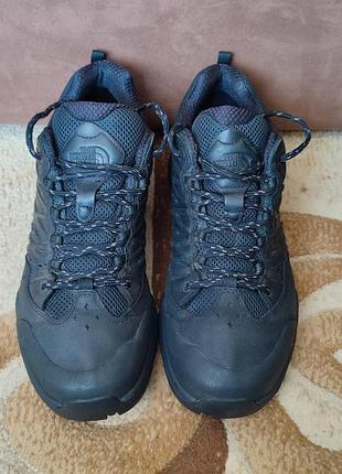 Кросівки the north face hedgehog ii wp waterproof