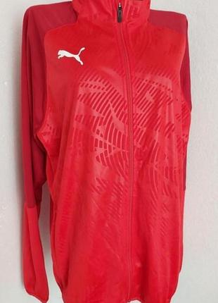 Куртка ветровка спортивная на молнии