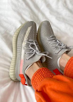 Кросівки adidas yeezy boost 350 v2 tail light