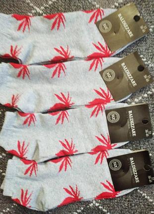 Шкарпетки р/р 25(38-40),хлопок/стрейч.