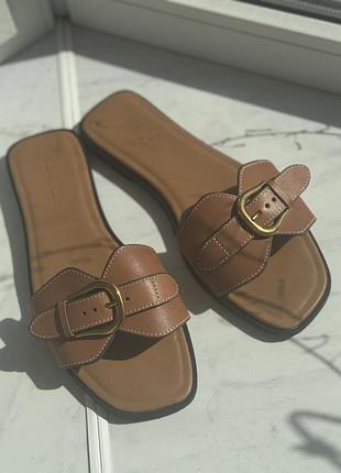 Шльопанці massimo dutti 40