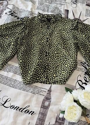 🍯гарна блуза на ґудзиках з обʼємними рукавами.