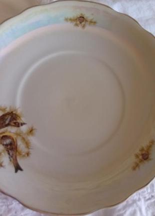 Блюдо  коростень ф/з