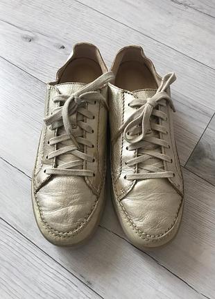 Кросівки ( кеди ) clarks