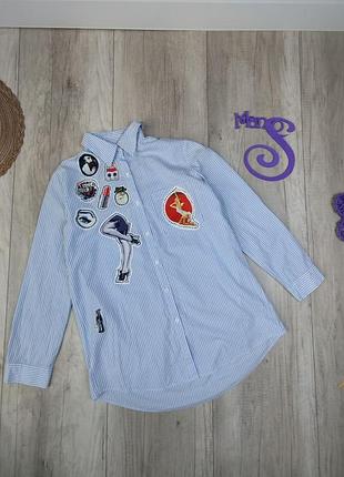 Блузка женская бело голубая в полоску extelle, размер m/l, длинный рукав