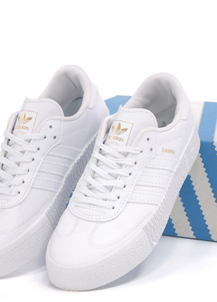 Кроссиовки samba