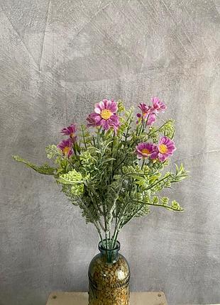 Кущ зелені ехінацея