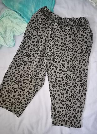 Трикотажные бриджи, капри в леопардовый принт ,двунитка,,16разм,50-54разм,tu woman