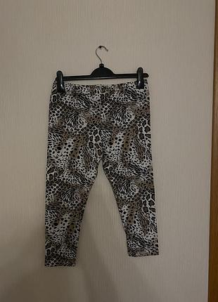 Лосіни жіночі бавовна з принтом