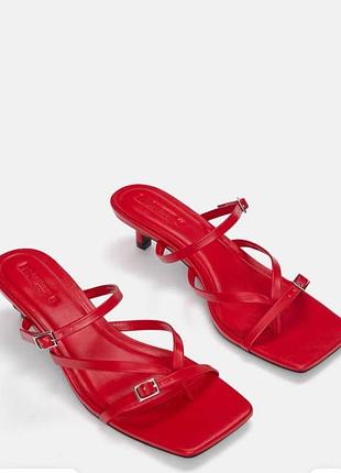 Шльопки жіночі pull&bear