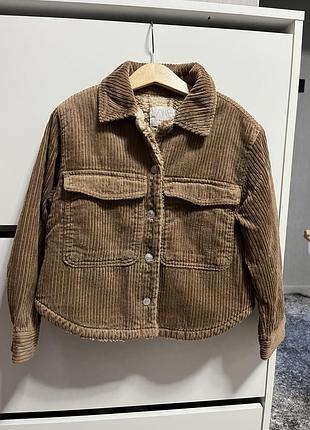 Тедді куртка zara 8-9 років 130 см вельветова