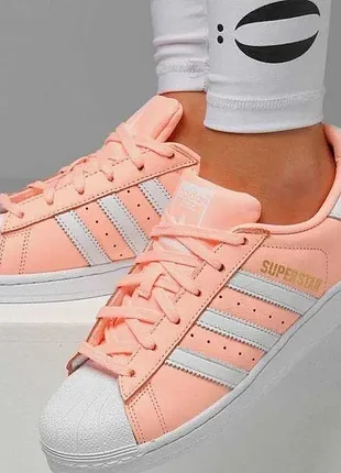 Жіночі кросівки кеди adidas originals superstar b42001