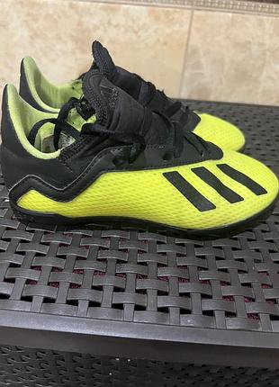 Сороконожки детские