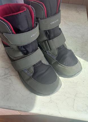 Зимние ботинки geox
