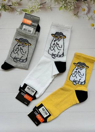 Носки lvivski взрослые кот показывает средний палец 16+ 25-27 (39-43)