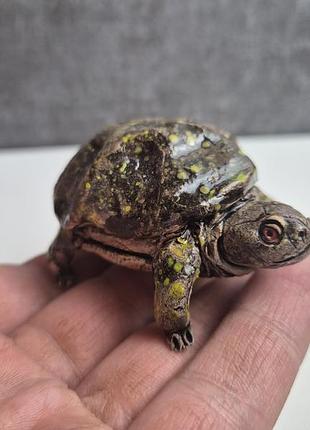 Керамическая статуэтка черепахи – предохраняет на долголетие