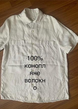 Чоловіча сорочка cos