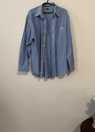 Жіноча (унісекс) сорочка у смужку розміру м