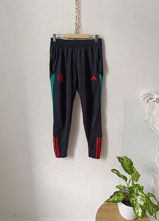 Спортивные тренировочные штаны adidas manchester united tiro 23 training performance