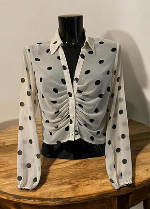 Блузка прозора в горох в розмірі 10/38, заміри на фото