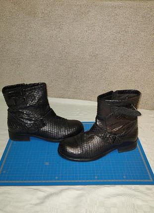 Ботинки демисезонные  billi bi из натуральной кожи под питона