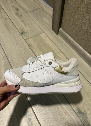 Кросівки томмі хілфігер