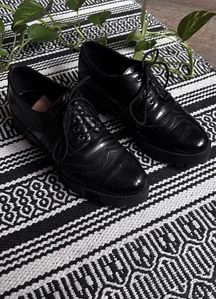 Лофери, броги, черевики, туфлі