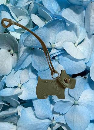 Шкіряна собачка radley