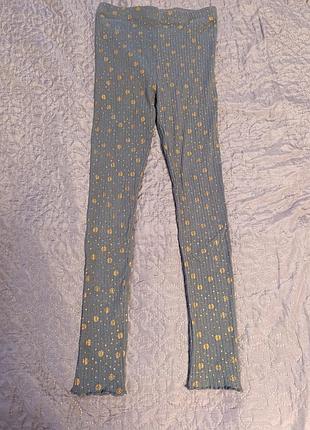 Лосіни, штани