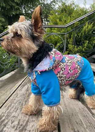 Dog style • летние комбинезоны для собак