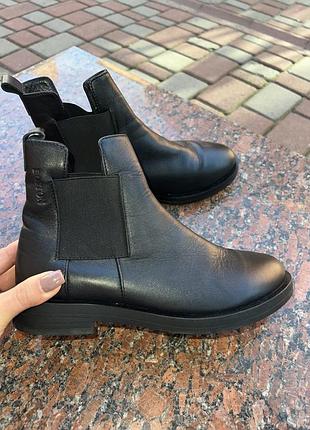 Чоботи челсі шкіра